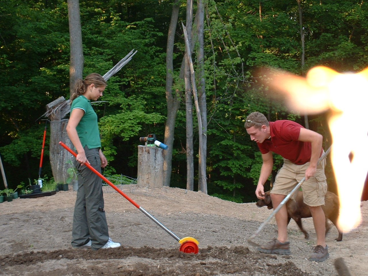 Glowing Spiritual Being Glowing Spiritual Being