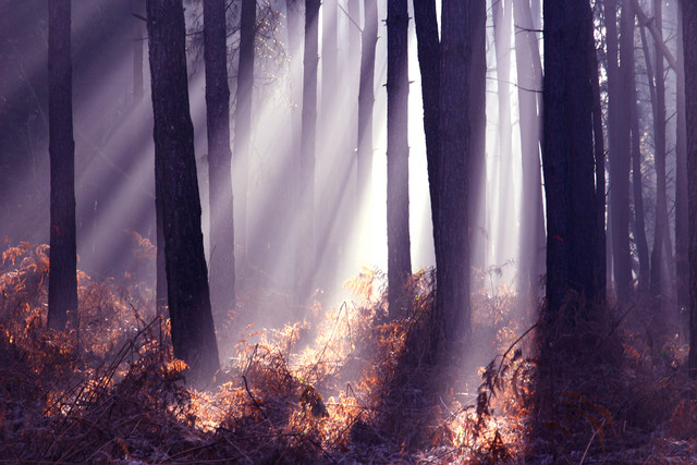 Spiritual Guidance Spiritual Guidance